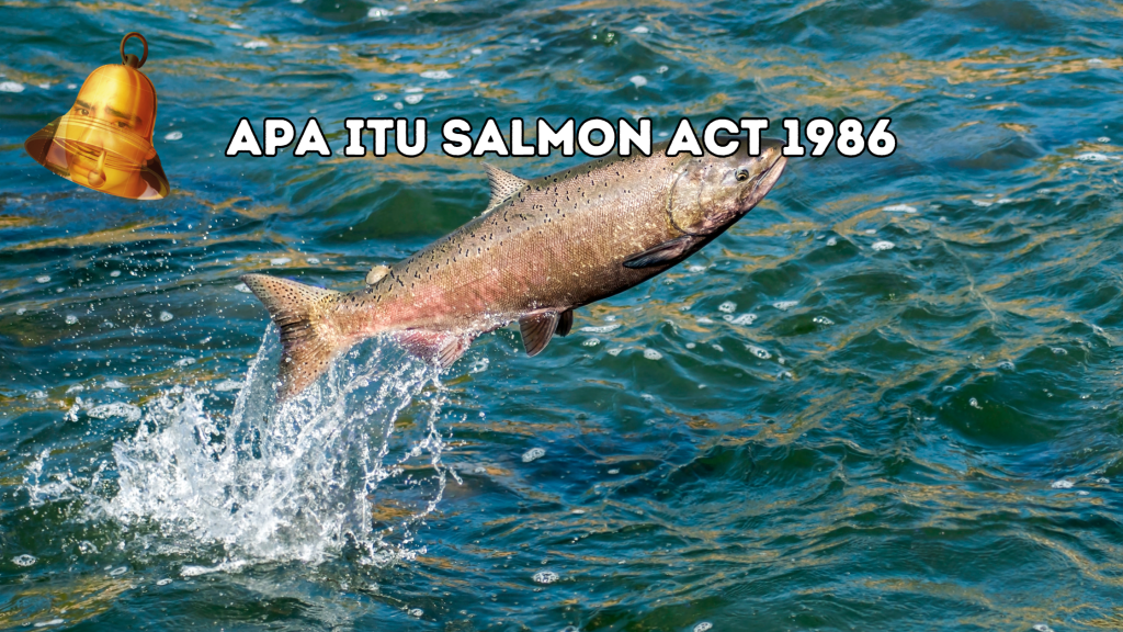 Penjelasan Tentang Salmon Act 1986 dan Apa Efeknya Hingga Saat Ini