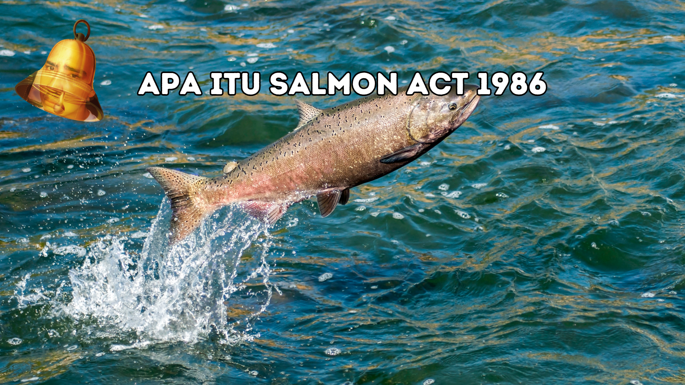 Salmon Act 1986