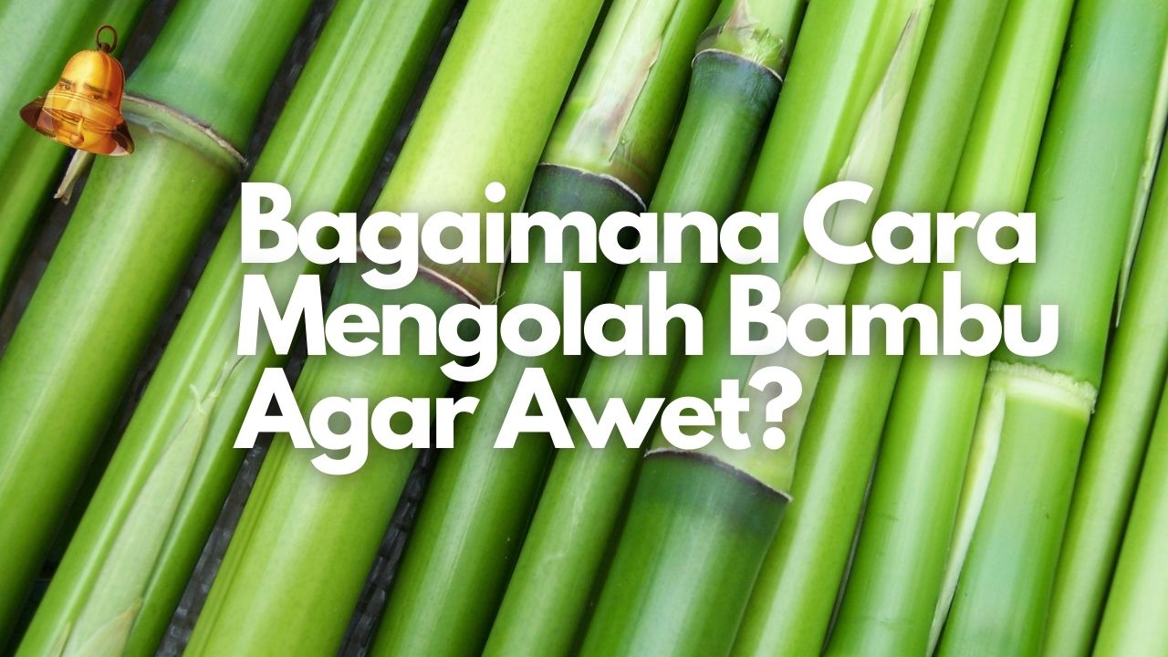 Bagaimana Cara Mengolah Bambu Agar Awet?