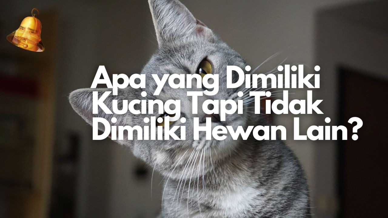 Apa yang Dimiliki Kucing Tapi Tidak Dimiliki Hewan Lain?