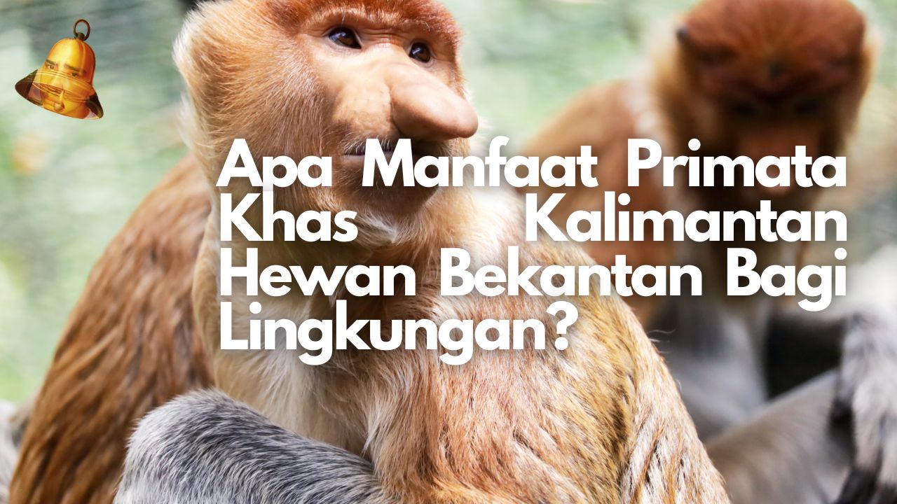 Manfaat Primata Khas Kalimantan Hewan Bekantan Bagi Lingkungan