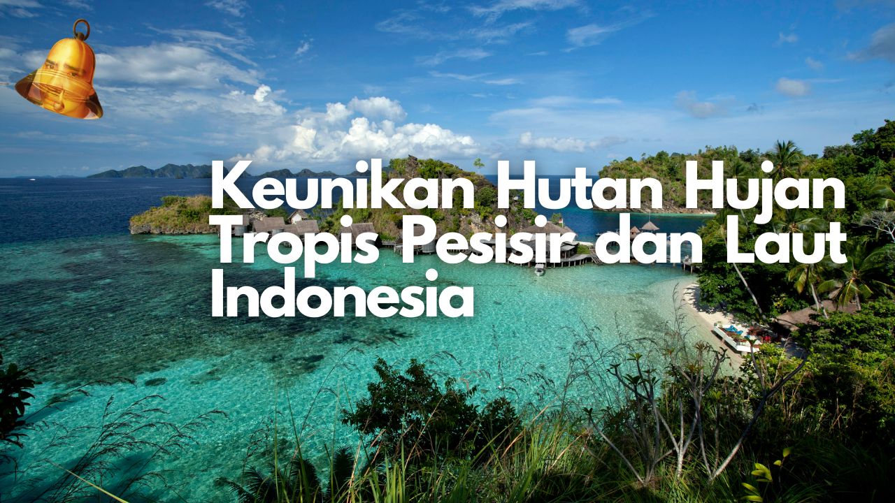 Keunikan Hutan Hujan Tropis Pesisir dan Laut Indonesia