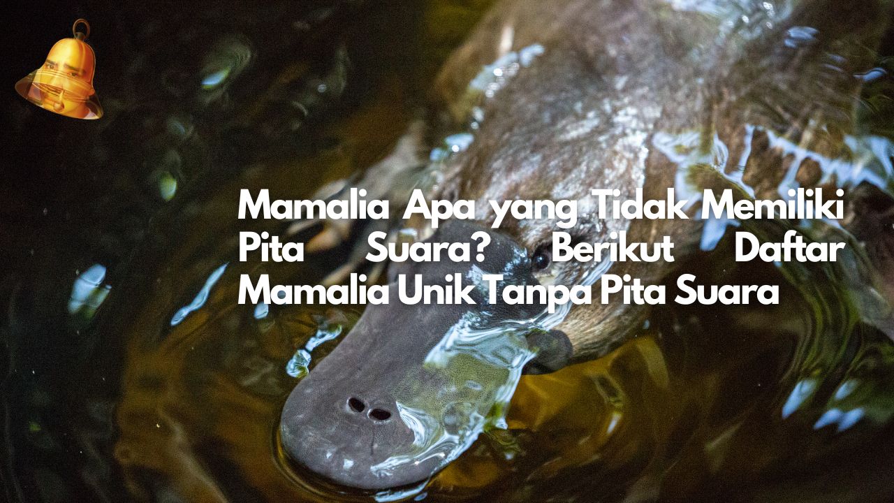 Mamalia Apa yang Tidak Memiliki Pita Suara? Berikut Daftar Mamalia Unik Tanpa Pita Suara