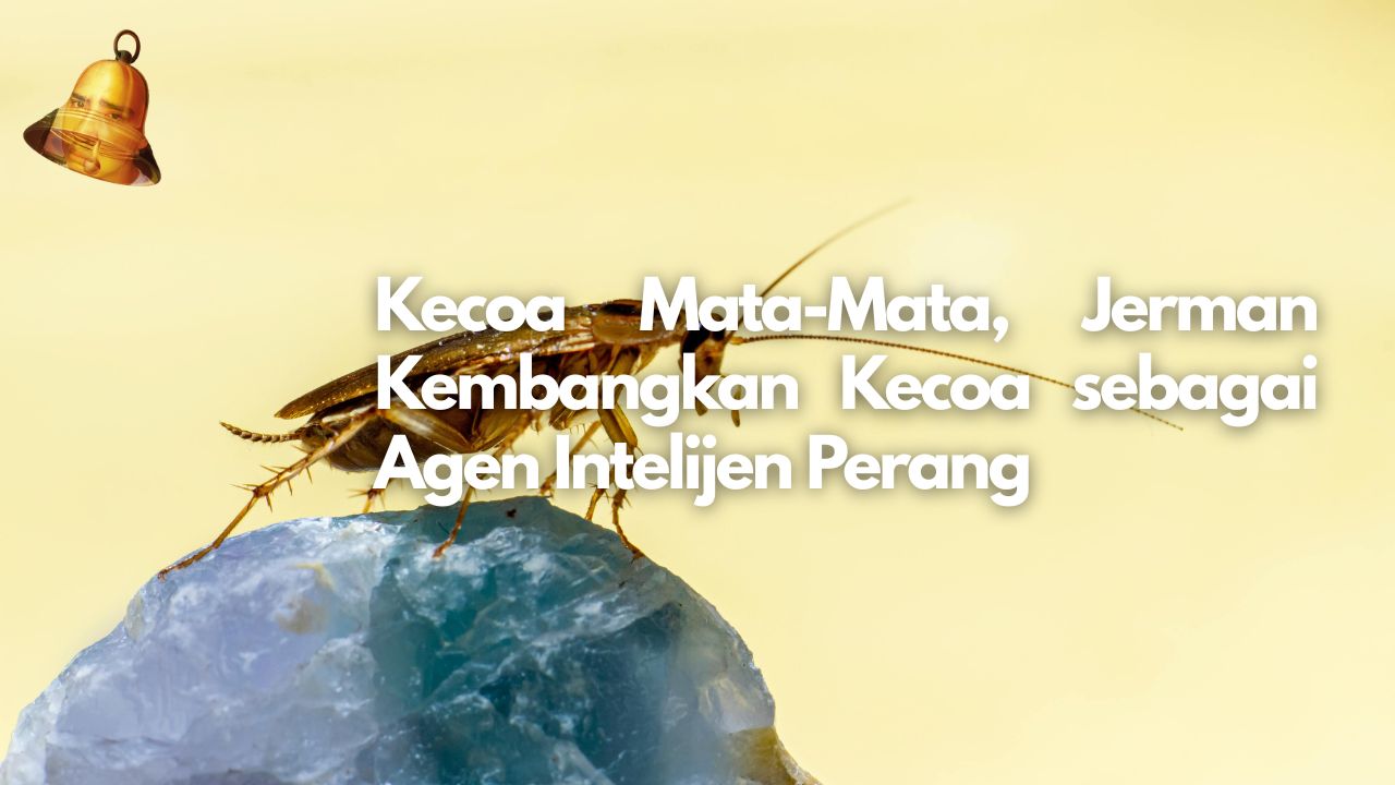 Kecoa Mata-Mata, Jerman Kembangkan Kecoa sebagai Agen Intelijen Perang