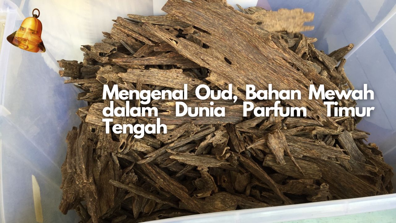 Mengenal Oud, Bahan Mewah dalam Dunia Parfum Timur Tengah