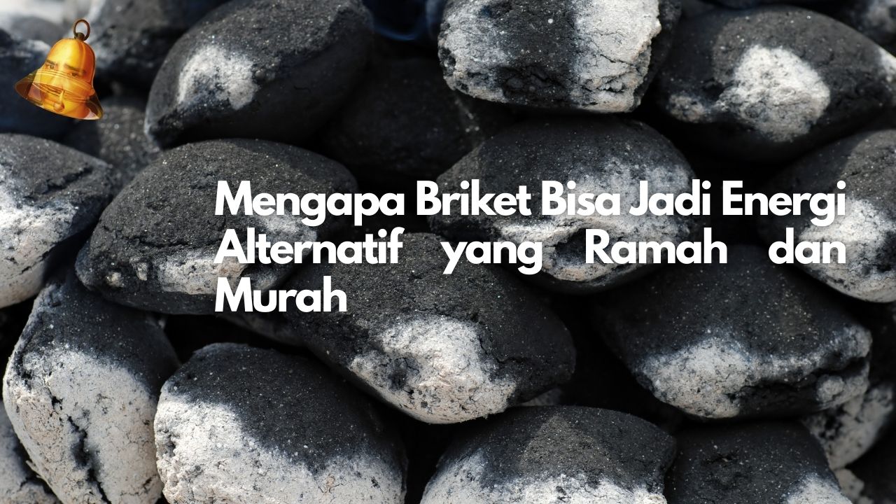 Mengapa Briket Bisa Jadi Energi Alternatif yang Ramah dan Murah